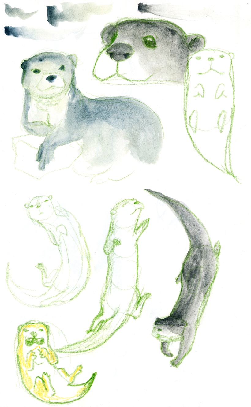 Viking Sea Otters