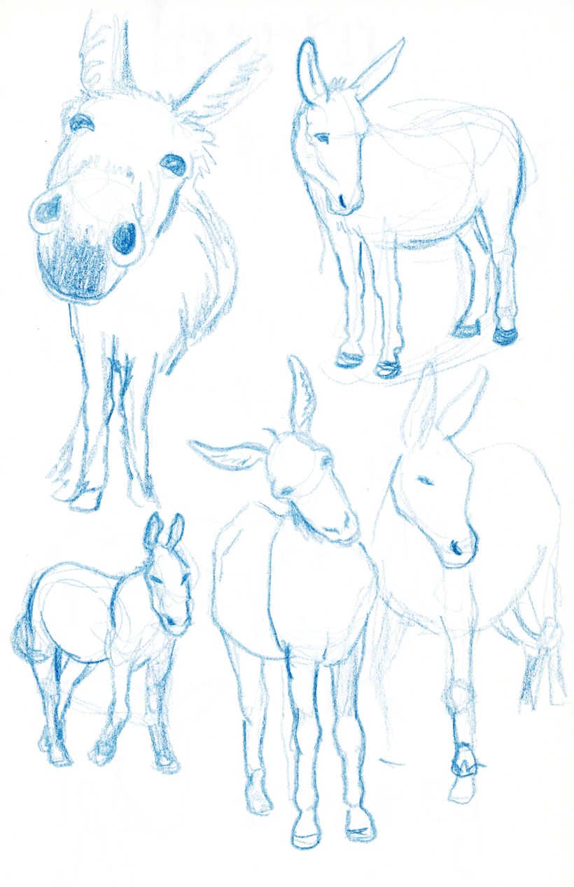 Donkey Truckers